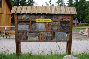 Hmyzí hotel nejen pro samotářské včely
