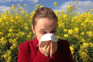 Alergie na pyl