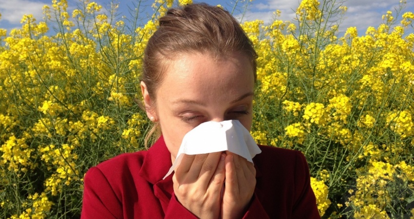 alergie na pyl