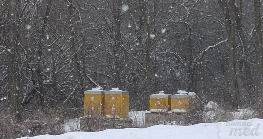 včelnice v zimě