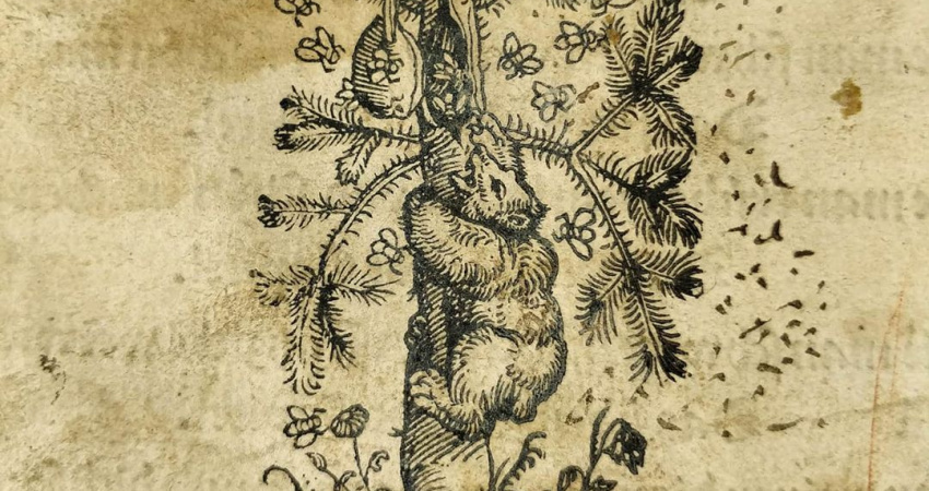 Dobová rytina včelaře u úlů, 1534