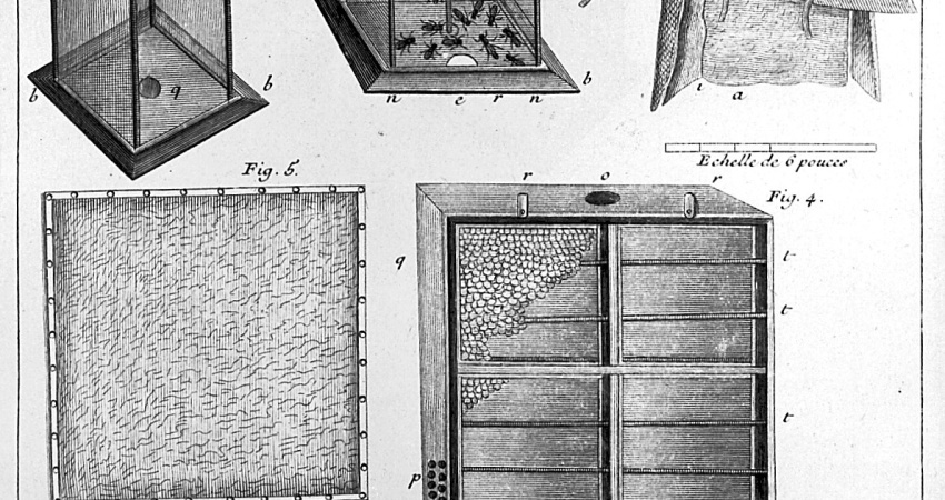 Rytina úlů z Réaumurova díla Mémoires pour servir à l'histoire des insectes