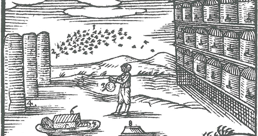Včelín a sběr medu, ilustrace z Orbis pictus, 1658