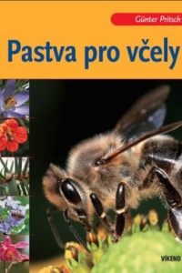 Pastva pro včely