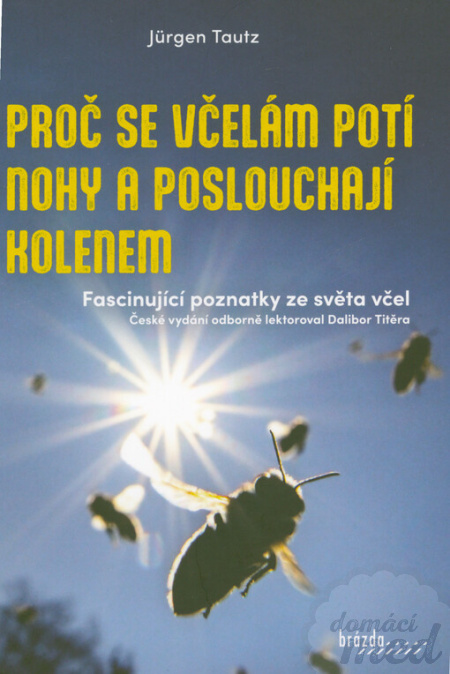 Proč se včelám potí nohy a poslouchají kolenem - Jürgen Tautz