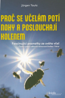 Proč se včelám potí nohy a poslouchají kolenem