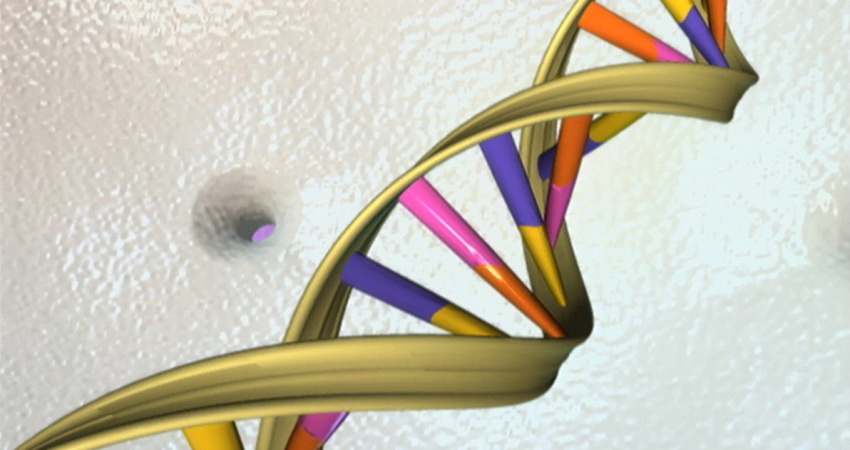 Vizualizace dvoušroubovice DNA — stužkový model molekulární struktury