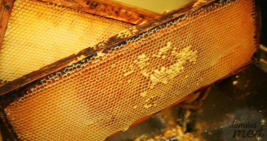 včelí vosk