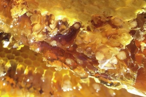 Vykapaný med